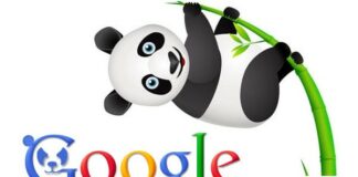 The Next Major Google Panda Refresh is Almost Here